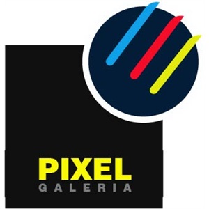 logo-pxel-nowe-1-300x300